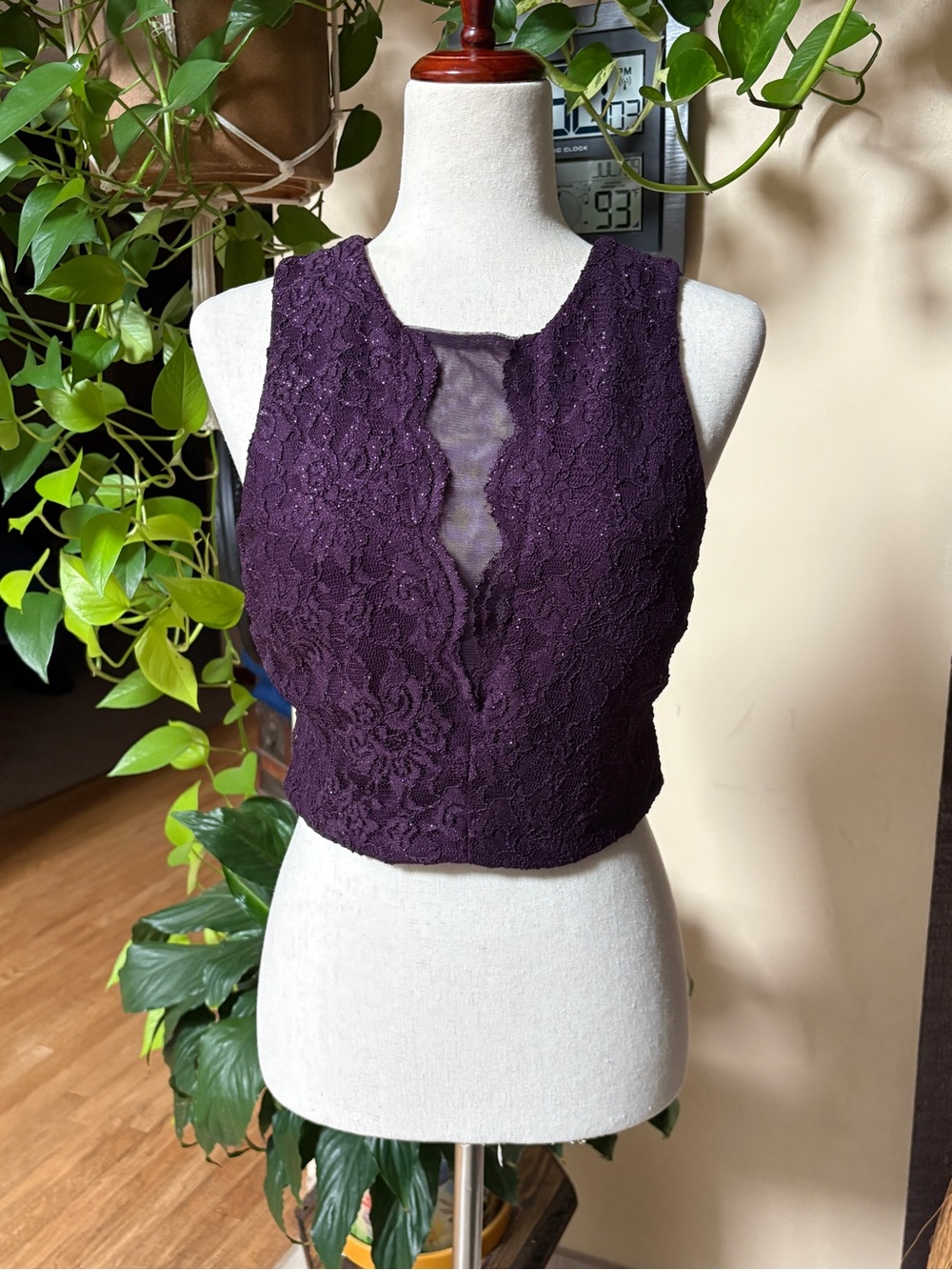 Sleeveless Lace Plum Crop Top with Sheer Center Panel